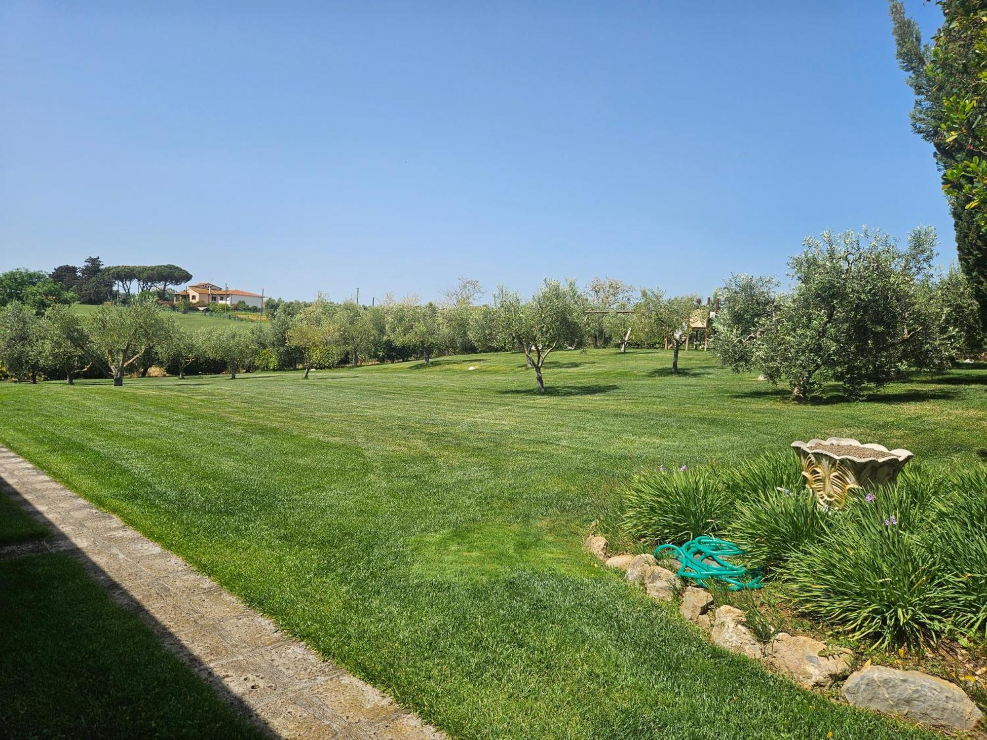 Agriturismo Il Migliarino Rispescia Dış mekan fotoğraf
